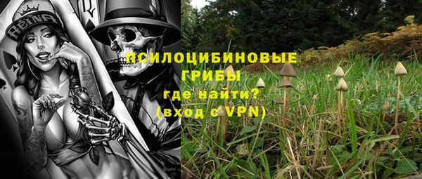 ALPHA-PVP Осташков