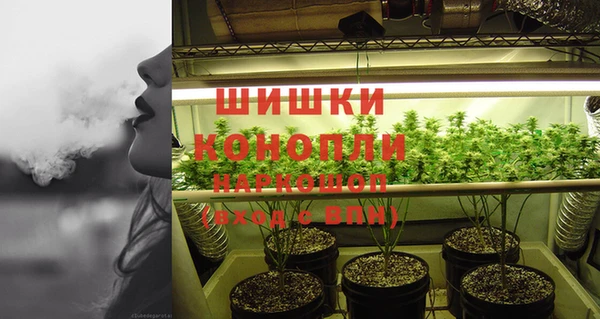 mdpv Гусиноозёрск
