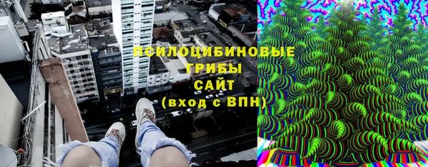 a pvp Осинники