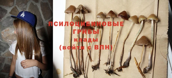 a pvp Осинники