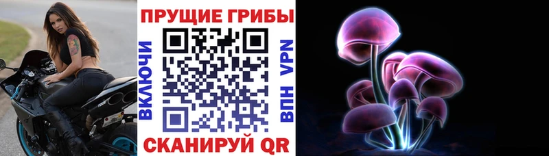 Псилоцибиновые грибы мицелий blacksprut зеркало Углегорск
